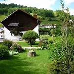 Confortable A La Bresse, Proche Centre-ville, Nature Et Activites - Fr-1-589-97 * La Bresse