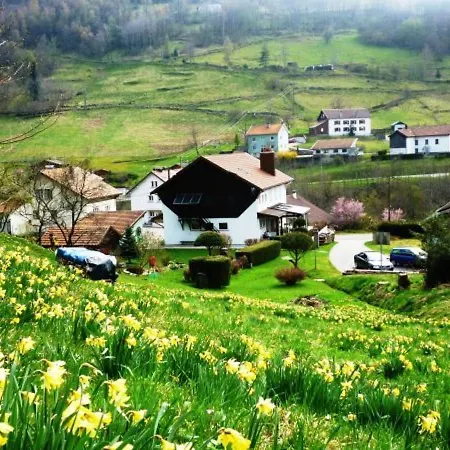Confortable à La Bresse, Proche Centre-ville, Nature Et Activités - Fr-1-589-97 * La Bresse