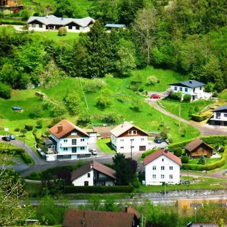 Confortable A La Bresse, Proche Centre-ville, Nature Et Activites - Fr-1-589-97 * La Bresse