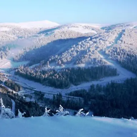 Holiday home Confortable A La Bresse, Proche Centre-ville, Nature Et Activites - Fr-1-589-97 *