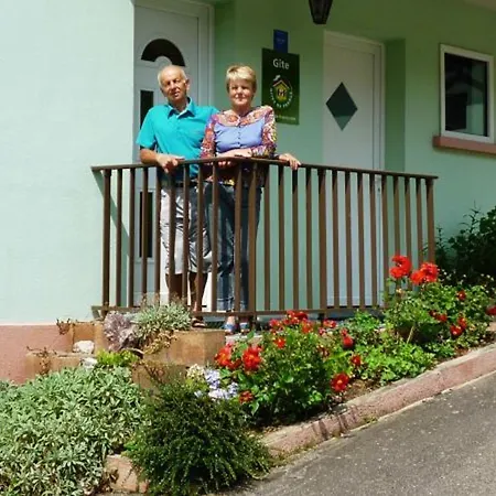 Holiday home Confortable A La Bresse, Proche Centre-ville, Nature Et Activites - Fr-1-589-97