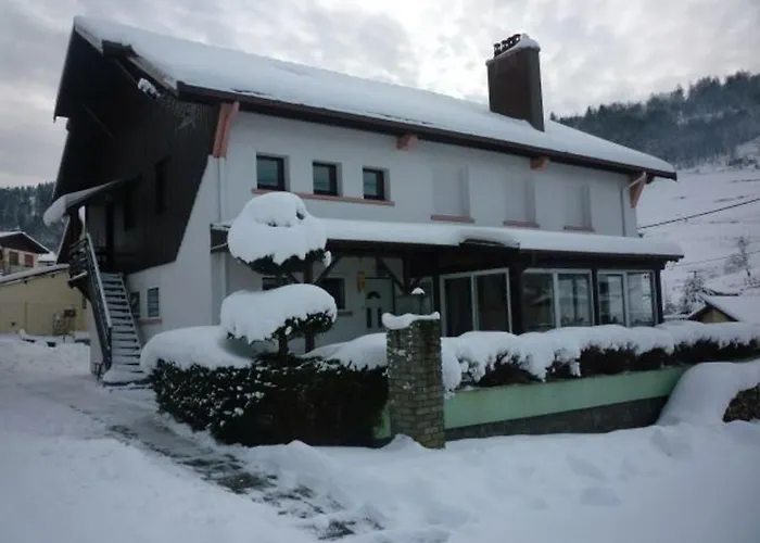 Hébergement de vacances Confortable à La Bresse, Proche Centre-ville, Nature Et Activités - Fr-1-589-97 *