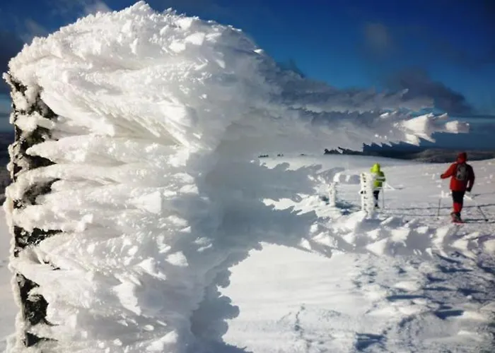 Confortable à La Bresse, Proche Centre-ville, Nature Et Activités - Fr-1-589-97 Hébergement de vacances