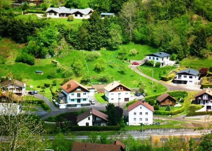 Confortable à La Bresse, Proche Centre-ville, Nature Et Activités - Fr-1-589-97 * La Bresse