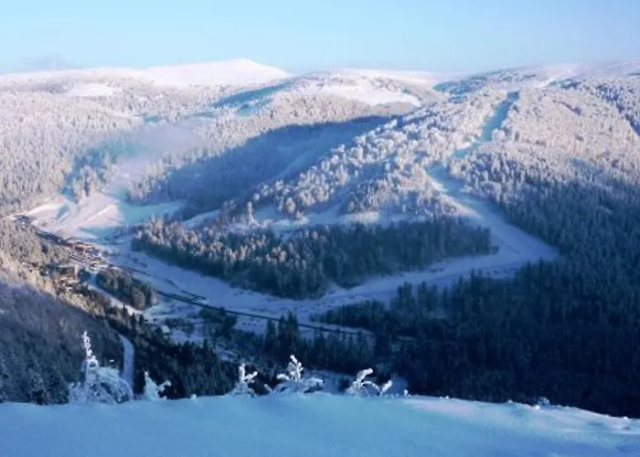 Hébergement de vacances Confortable à La Bresse, Proche Centre-ville, Nature Et Activités - Fr-1-589-97 *