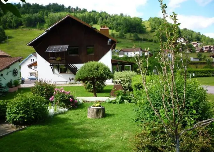 Confortable à La Bresse, Proche Centre-ville, Nature Et Activités - Fr-1-589-97 * La Bresse