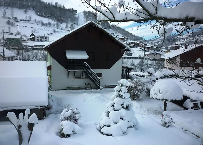 Confortable à La Bresse, Proche Centre-ville, Nature Et Activités - Fr-1-589-97 *