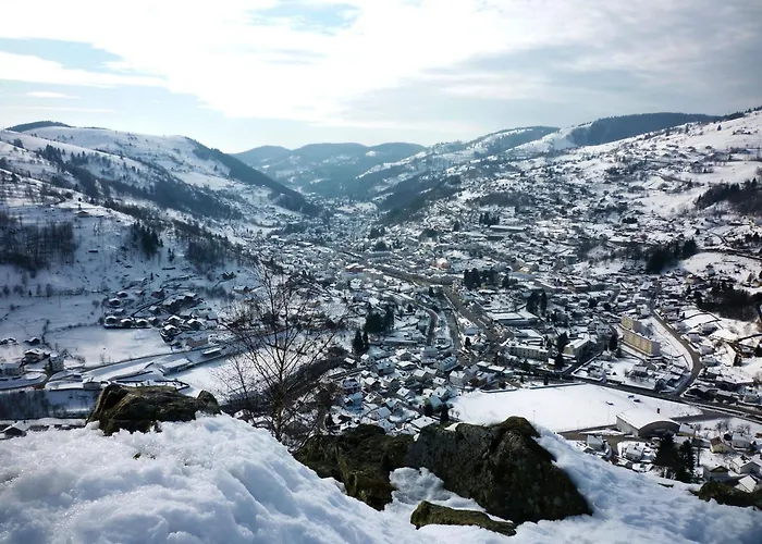 Hébergement de vacances Confortable à La Bresse, Proche Centre-ville, Nature Et Activités - Fr-1-589-97