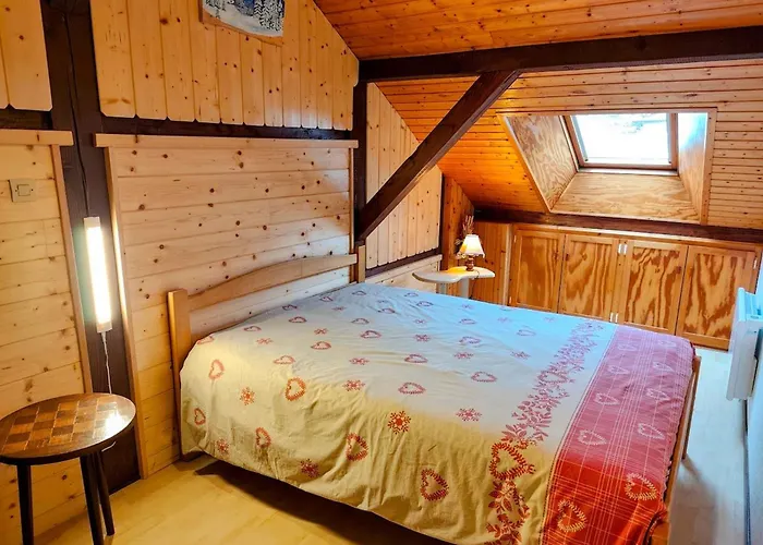 Confortable à La Bresse, Proche Centre-ville, Nature Et Activités - Fr-1-589-97