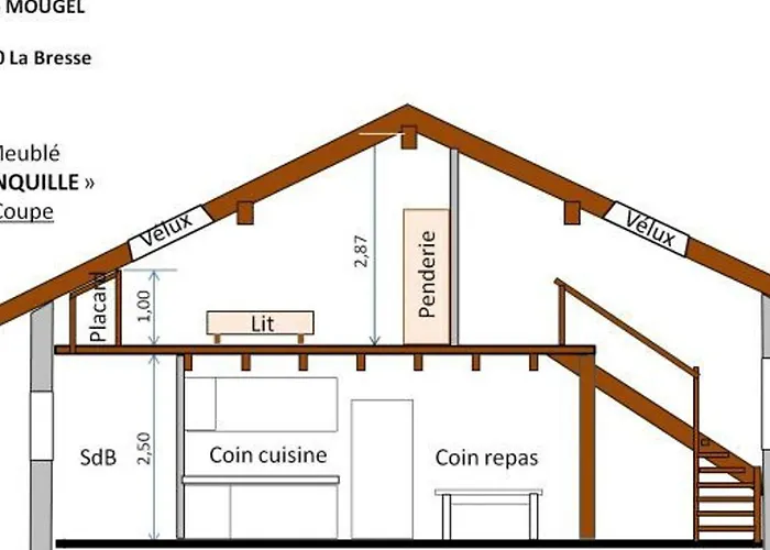 Confortable à La Bresse, Proche Centre-ville, Nature Et Activités - Fr-1-589-97 Hébergement de vacances *